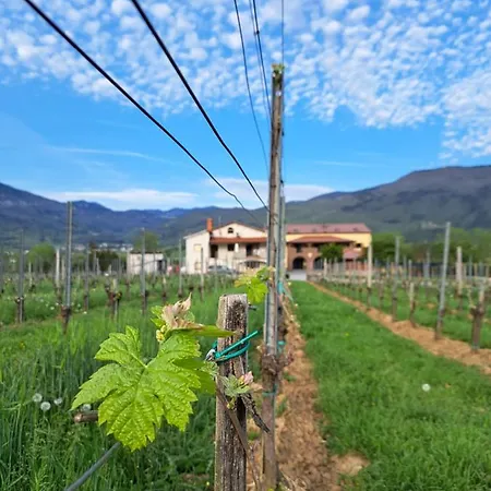 Posestvo Rouna - Winery And Apartment