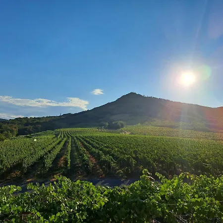 Posestvo Rouna - Winery And * Vipava