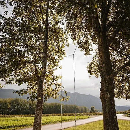 Apartment Posestvo Rouna - Winery And
