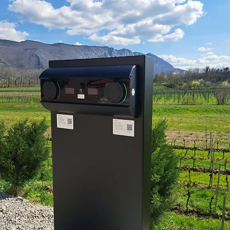 Apartment Posestvo Rouna - Winery And Vipava