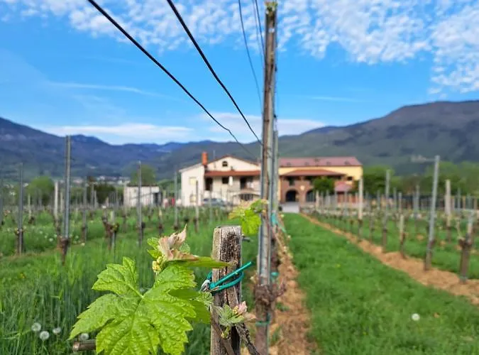 Posestvo Rouna - Winery And 아파트