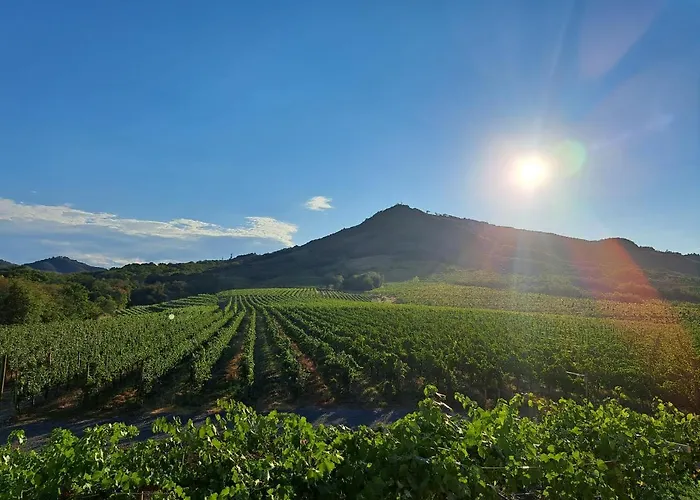 Posestvo Rouna - Winery And * Vipava