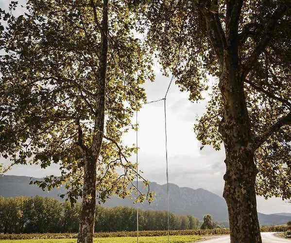 아파트 Posestvo Rouna - Winery And